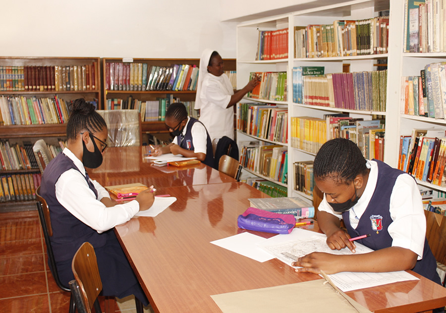 Pupils in the school Library studying.